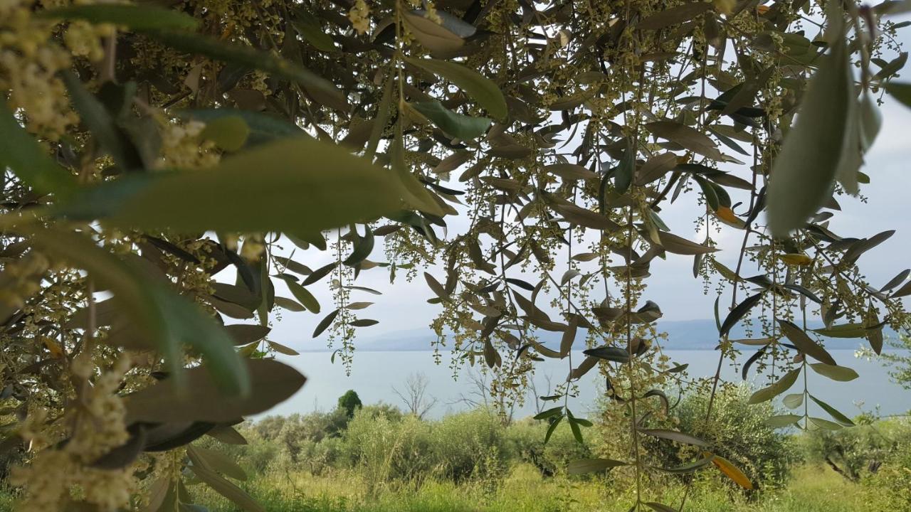 Hotel La Torre Castiglione del Lago Luaran gambar